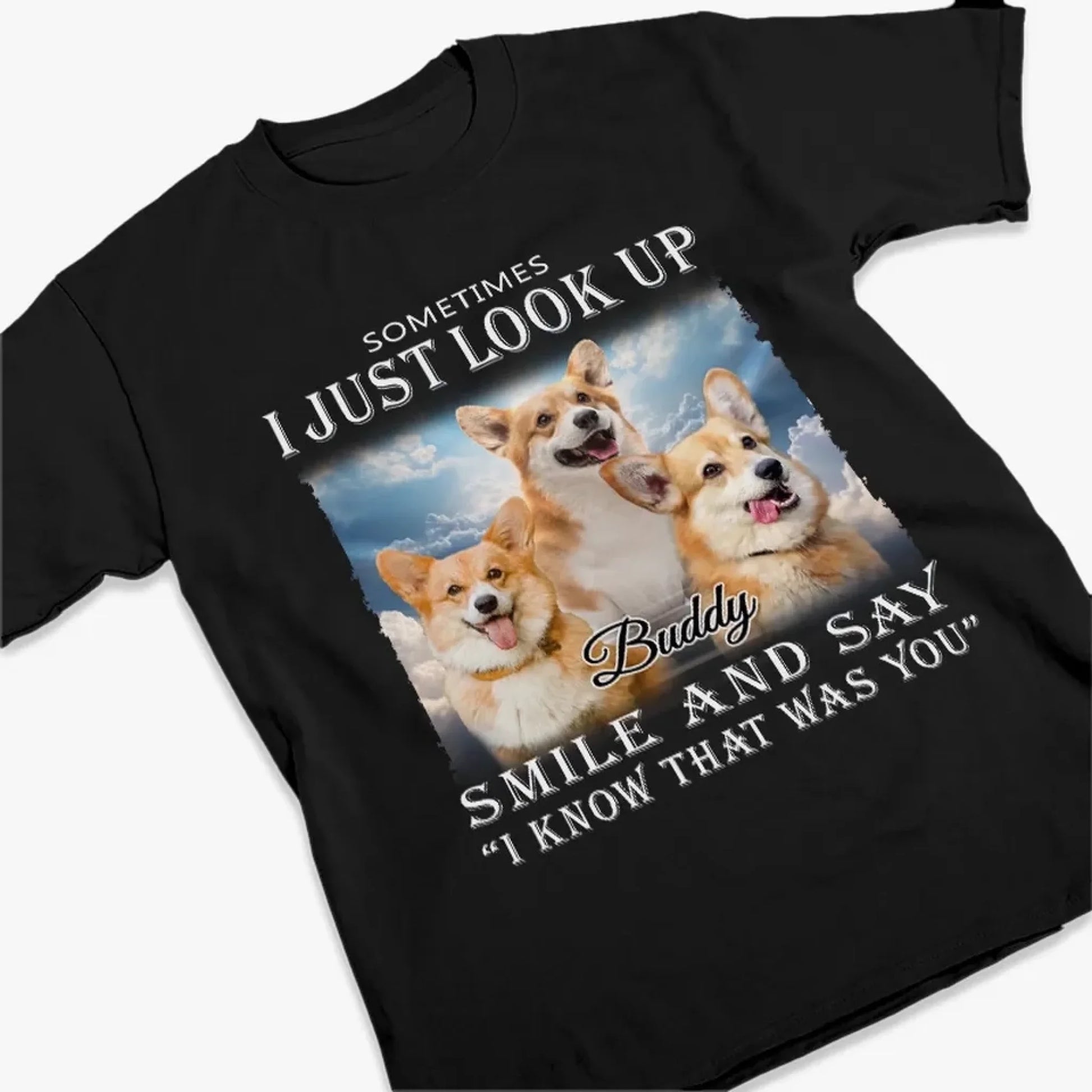 66666829641dc_large