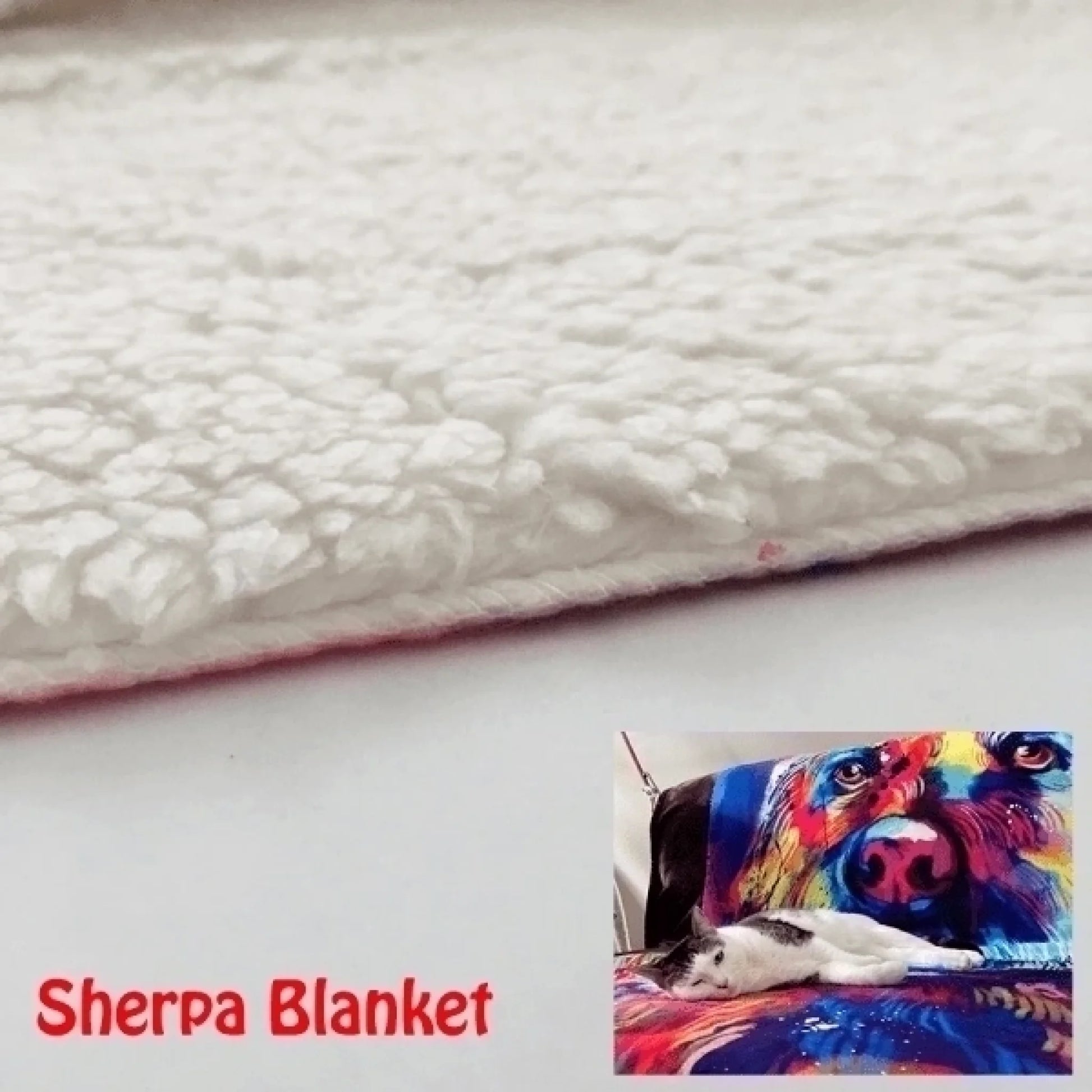 6364a72c8de78_large