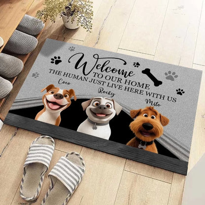 683d6316ed29f_large