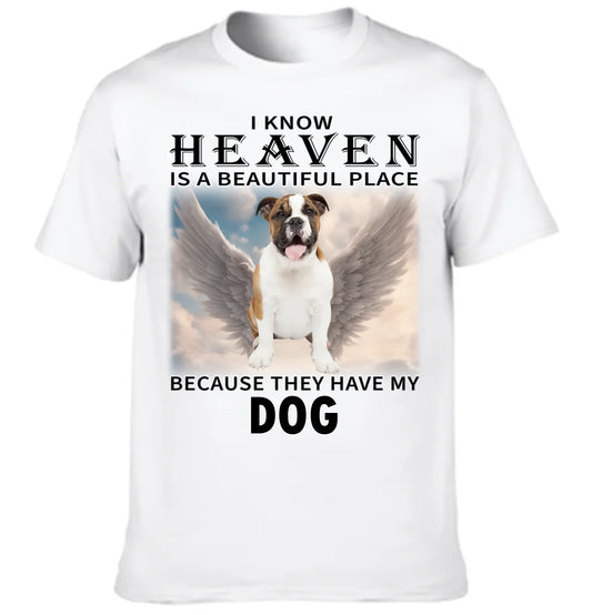 67e22fa1b3f61_large